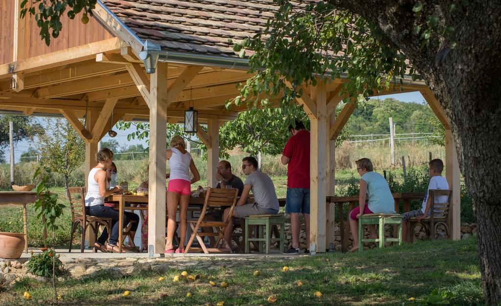 Edenkert Vendeghazak Otel Pécsvárad Dış mekan fotoğraf