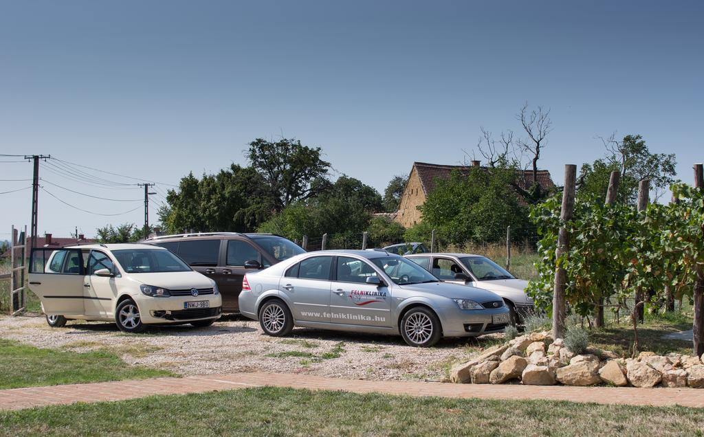 Edenkert Vendeghazak Otel Pécsvárad Dış mekan fotoğraf