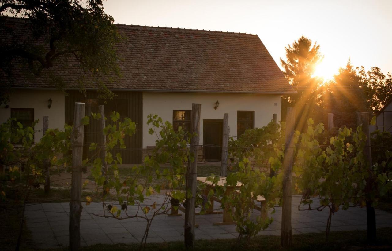 Edenkert Vendeghazak Otel Pécsvárad Dış mekan fotoğraf